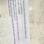 IMG_5426.jpeg