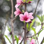 IMGP6893.jpg