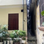 IMG_6944.jpeg