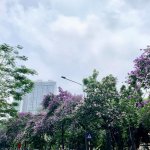 449C62CD-5C00-4D28-85DF-138F8410A868.jpeg