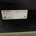 IMG_7006.jpeg