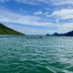 IMG_9822.jpeg