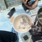 IMG_9840.jpeg