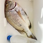 IMG_9854.jpeg