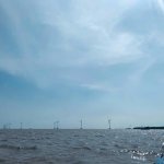 6E8298B8-B725-4B95-B5A6-DF8D416BB03C.jpeg