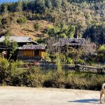 suoi-khoang-nong-ngoc-chien-dang-la-diem-den-hot-nhat-son-la-4.jpg