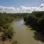 Río_Cauto.jpg