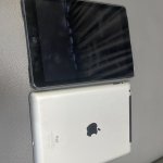 IMG_9290.jpeg