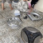 IMG_2209.jpeg