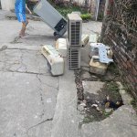 IMG_2720.jpeg