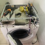 IMG_4582.jpeg