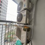 IMG_8257.jpeg