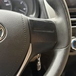 IMG_8881.jpeg