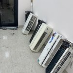 IMG_9142.jpeg