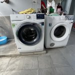 IMG_7307.jpeg
