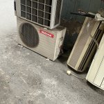 IMG_6877.jpeg