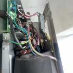 IMG_6823.jpeg