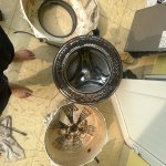 IMG_1127.jpeg