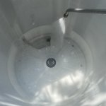 IMG_9929.jpeg