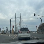 IMG_4423.jpeg