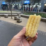 IMG_4523.jpeg