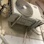 IMG_9325.jpeg