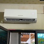 IMG_9324.jpeg