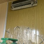 IMG_9308.jpeg