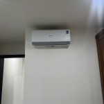 IMG_9250.jpeg