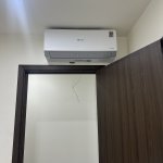 IMG_9249.jpeg