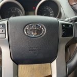 IMG_3110.jpeg
