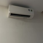 IMG_9021.jpeg
