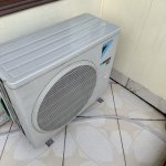 IMG_8913.jpeg