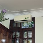 IMG_8914.jpeg