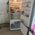IMG_8932.jpeg