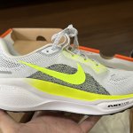 IMG_2451.jpeg