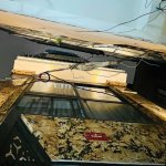 IMG_4351.jpeg