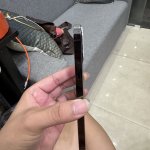 IMG_3174.jpeg