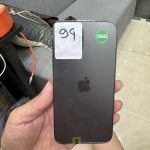 IMG_3173.jpeg