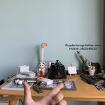 C4617ABC-4EA5-49AC-896A-C4AE19B5E0E3.jpeg