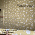 118C2B1C-1127-493E-9673-F7D17F7936A8.jpeg