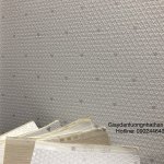 EA05916C-7124-4148-B4A6-16C637518D29.jpeg