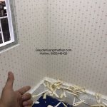 83BBEFE0-F066-478D-924F-0A78FC7AF604.jpeg