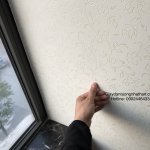 00C5E698-9EB1-43C2-B926-A224CF93D72E.jpeg