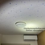 D9E7BB82-64A7-483B-8032-033B2C966227.jpeg