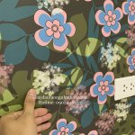 22EA8202-A2DD-4370-9F34-8CFBB65201C7.jpeg