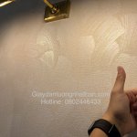 292FE1C7-C24F-4A3A-A933-853F220E9167.jpeg