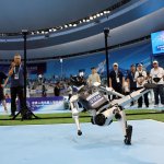 Robot 2025_8_17 (15).jpg