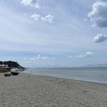 IMG_7378.JPG