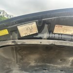 IMG_6558.jpeg